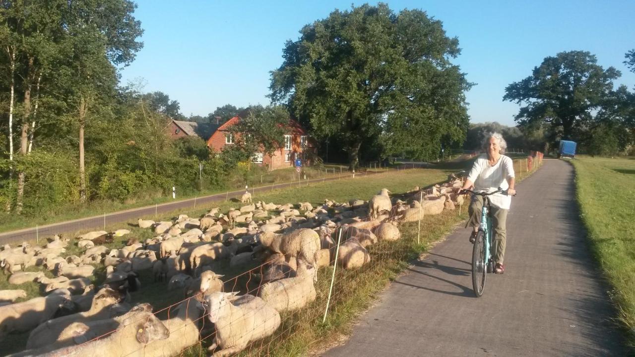 Schillers Stadthaus Hitzacker Buitenkant foto